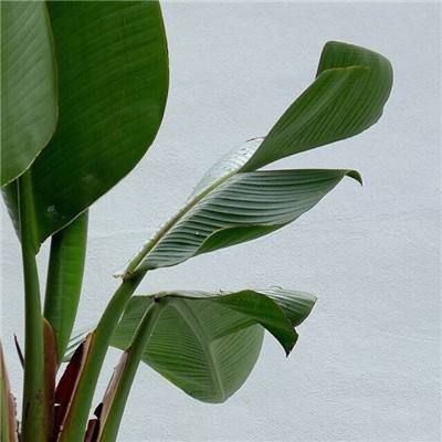 pg电子娱乐官网游戏下载手机版截图